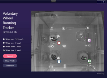 The Social Gym Project